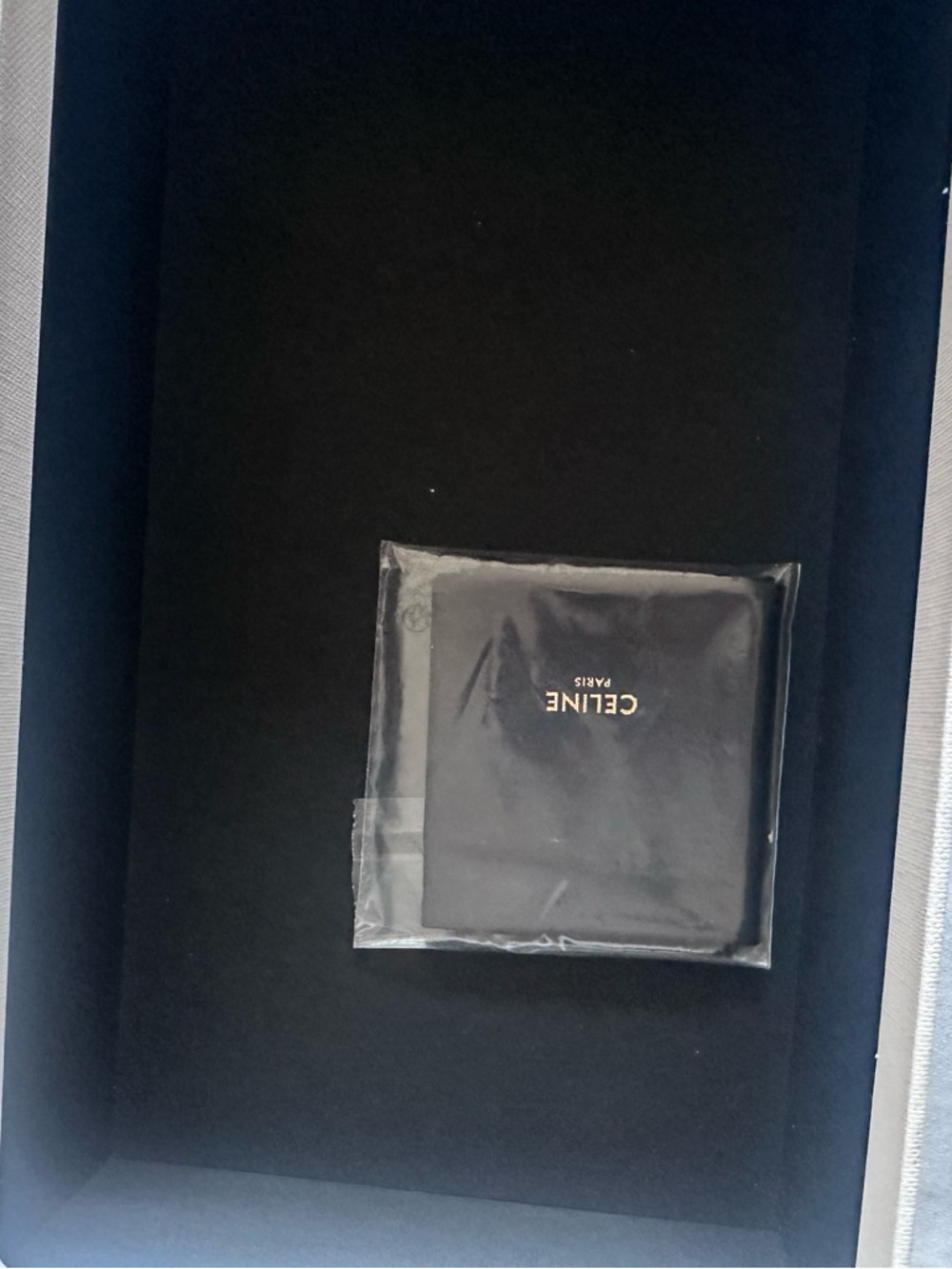Celine  Triomphe Black Oval Sunglasses - Picture 6 of 6